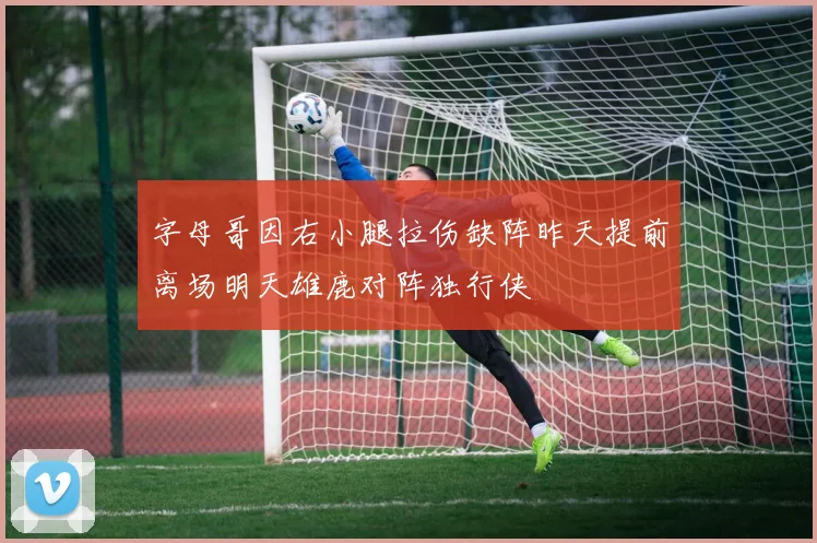 字母哥因右小腿拉伤缺阵昨天提前离场明天雄鹿对阵独行侠