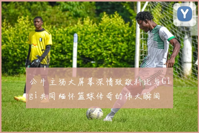 公牛主场大屏幕深情致敬科比与Gigi共同缅怀篮球传奇的伟大瞬间